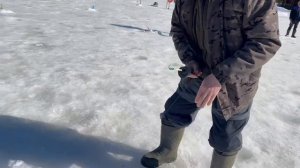 Поимки форели на пасту и на блесну