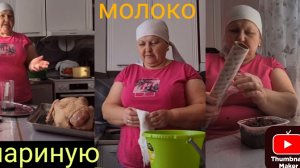 первое молоко/КАК ПОЭТАПНО шприцую ГУСЯ /огурцы посеяла немного
