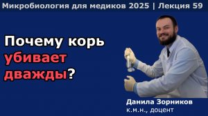 Парамиксовивусы