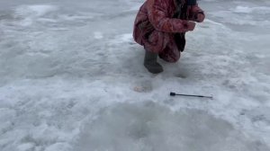 21.03.26 г. РК Волна.