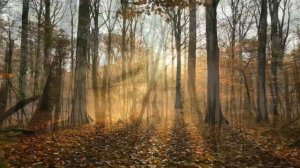 В вечность полёт 2. Гипнопесня с наведением и установками