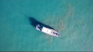 Арнольд Шварценеггер: всего 2% людей могут следовать этим правилам