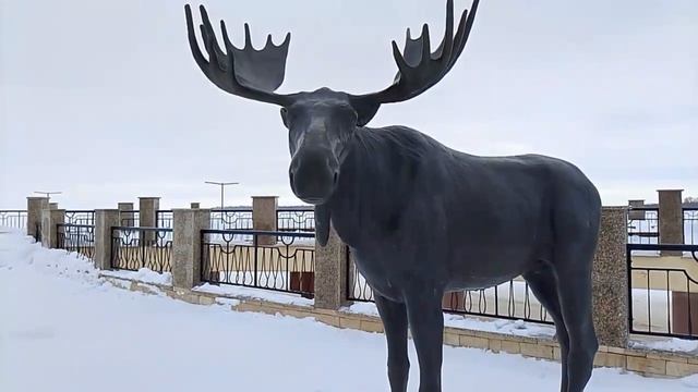 Полина в Нижневартовске. Прогулка по набережной