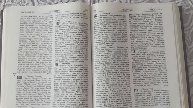 # День 159#  Пища для моего духа #  Псалтырь  гл. 109 #ПС v1.0 #