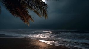 Шум Волн Океана Ночной Пляж с Пальмами Звук Волн Для Сна