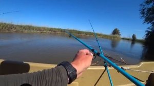 ОНИ ТАЩАТ В КОРЯГИ! В ЭТОЙ ЯМЕ ТОННЫ РЫБЫ! Рыбалка в Астрахани 2025