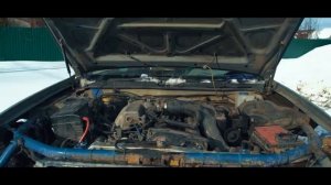 я,вернул своего убитого волка домой