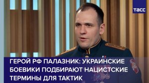 Герой РФ Палазник: украинские боевики подбирают нацистские термины для тактик