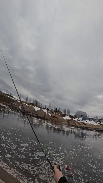 рыбалка на фидер зимой