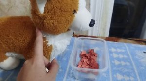 Кормление моих собак/ ПДБ