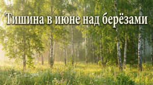 Тишина в июне над берёзами / Грустные рассказы / Истории из жизни / Аудиокниги слушать онлайн