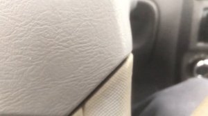 СГРЫЗЛИ ПОДОКОННИК АВТОМОБИЛЬ