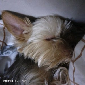 палю бабушкено лицо ну и ещё что-то делаю короче ребят заходите