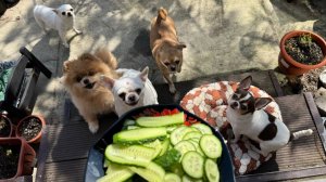 Утро начинаем с вкусненьких огурчиков.