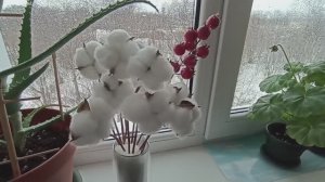 Домашнее видео. Что приготовила. Что купила. 21 марта.mp4