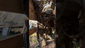 Поездка в Центр Специальной подготовки ШОК