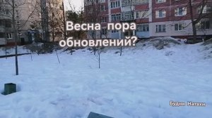 Сюрпризы под снегом.