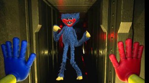 Дейзи из Поппи плей тайм у нас дома в реальной жизни. Daisy poopy play time in real life