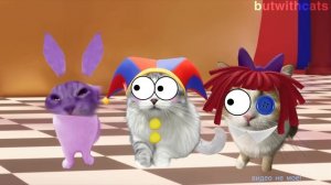 смотрите что нашла 🤩😍😍с котиками