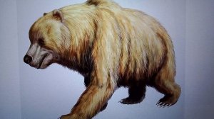 почти вся жизнь на планете исчезла из за людей