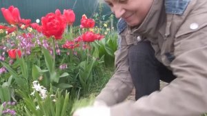 Середина мая 2020 года, сад-огород.