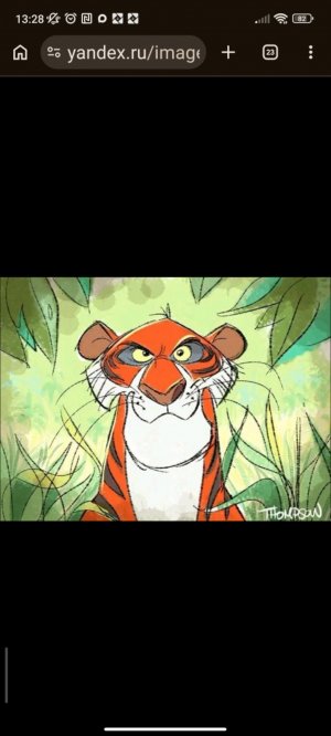 перед др Феди