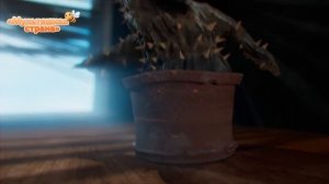 Мультик про смелый цветок