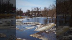 Пусть © Copyright: Бронислав Сычёв, 2026
Свидетельство о публикации №126032105014