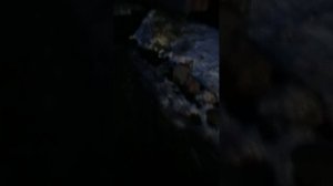 Артëм идëт 1 км