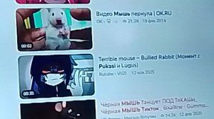 сижу я значит, и вижу моего кумира:Р