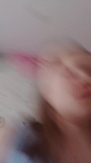 собака влог