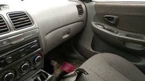 Нет я не выеду тут грызуны