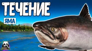 RF4 Они очень обожают течение #рр4