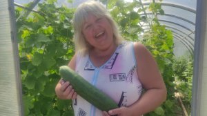 Дачный сезон 2024 года