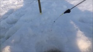 ТОЧКА ЛОВА. Р.Волга. Вялый клёв.