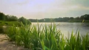 Андрей Крючков ПОЛЫННЫЙ ЗАПАХ