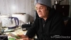 Пересаживаю перцы / Готовлюсь к посеву капусты.