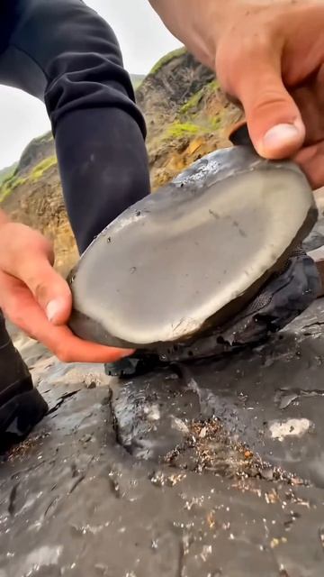 АРХЕОЛОГ НАШЕЛ ДРЕВНИХ МАЛЮСКОВ