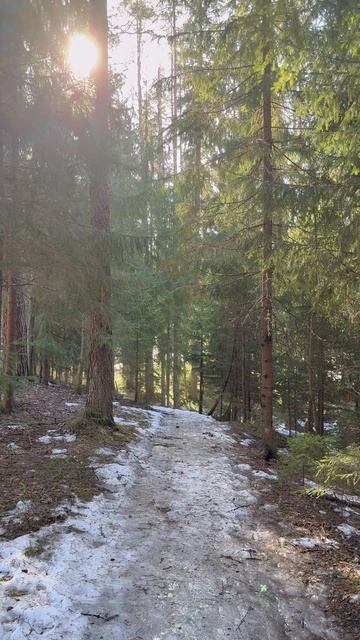 Ореховский заказник, Приозерский район. Начало весны