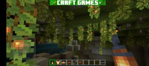 интервью № 8