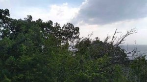 Красота вокруг на прогулке с сыном в заповеднике в Большом Утрише на Чёрном море