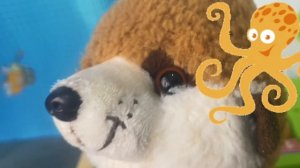 Не зли осьминога! #дети#интересное#развитие