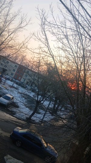 ♥️🌹🌈🐼🌘