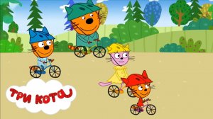 ТРИ КОТА  ► Гонки на Велосипеде