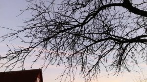 рома😧😨😰😥😢😭😱😖