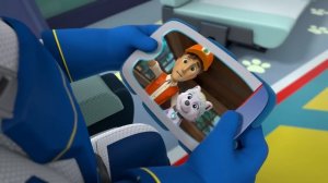 Щенячий патруль | Спасательный час девчонок! Скай и Эверест – 90 минут | Nick Jr. Cyrillic