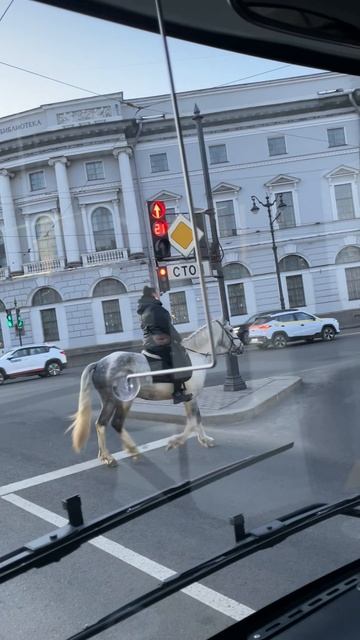 Невский пр. Девушка верхом на коне