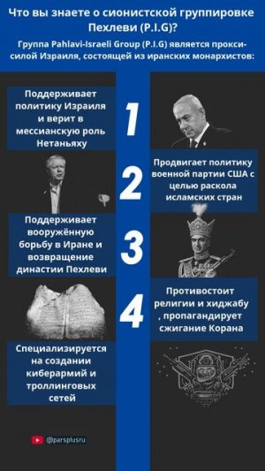 Что скрывается за P.I.G? Разбор спорной группировки