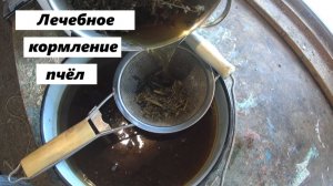 Лечебная подкормка пчёл