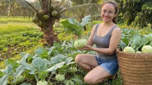 Собираю кольраби и грибы в саду, чтобы продать на рынке. Энн. Жизнь во Вьетнаме
